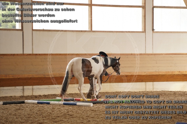 s_A_901315.JPG